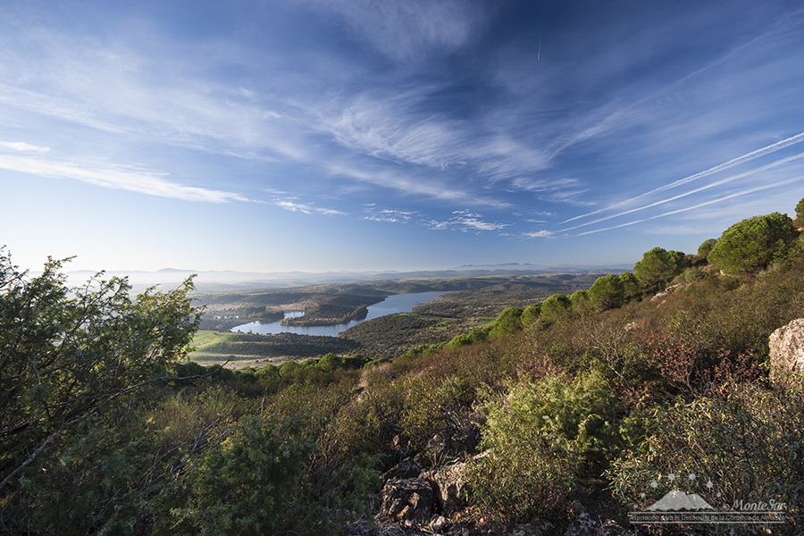La Comarca MonteSur se presenta hoy en FITUR