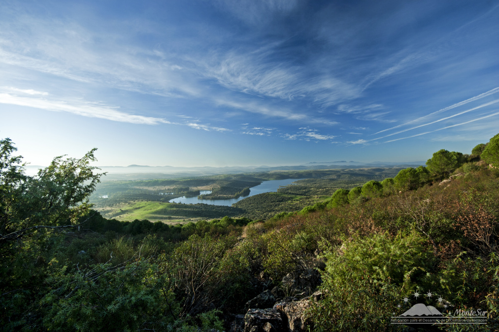 Montesur comienza a aprobar proyectos en el nuevo periodo LEADER